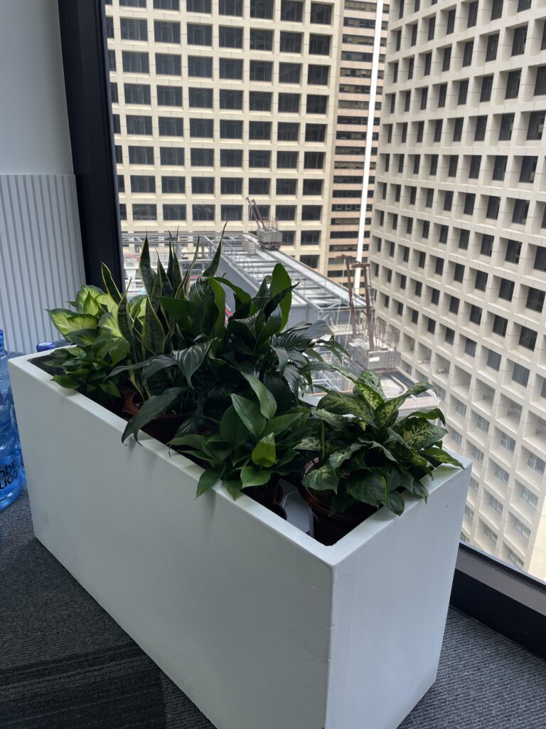 水泥花盆