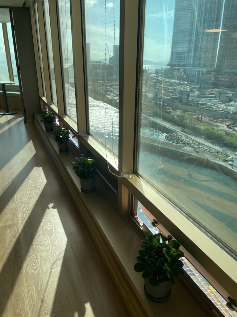 Plants