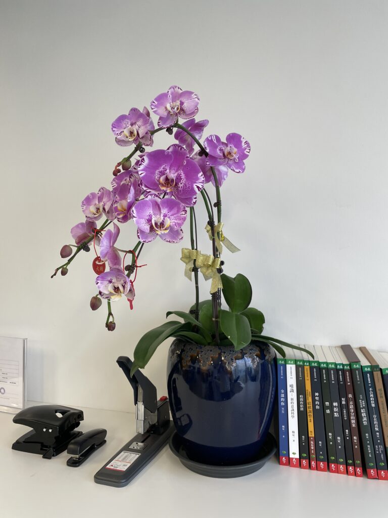 Orchid